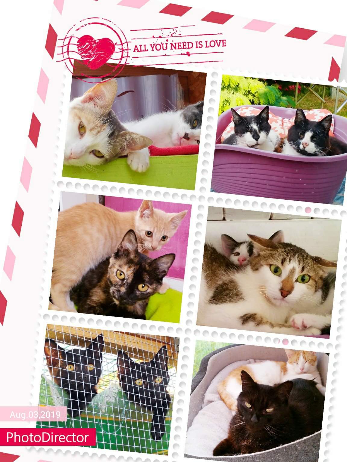 Participez au concours photo du Refuge de Kernavest