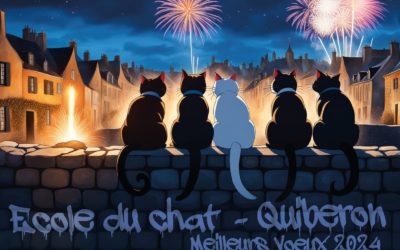 L’Ecole du chat de Quiberon vous souhaite une bonne année 2024 !