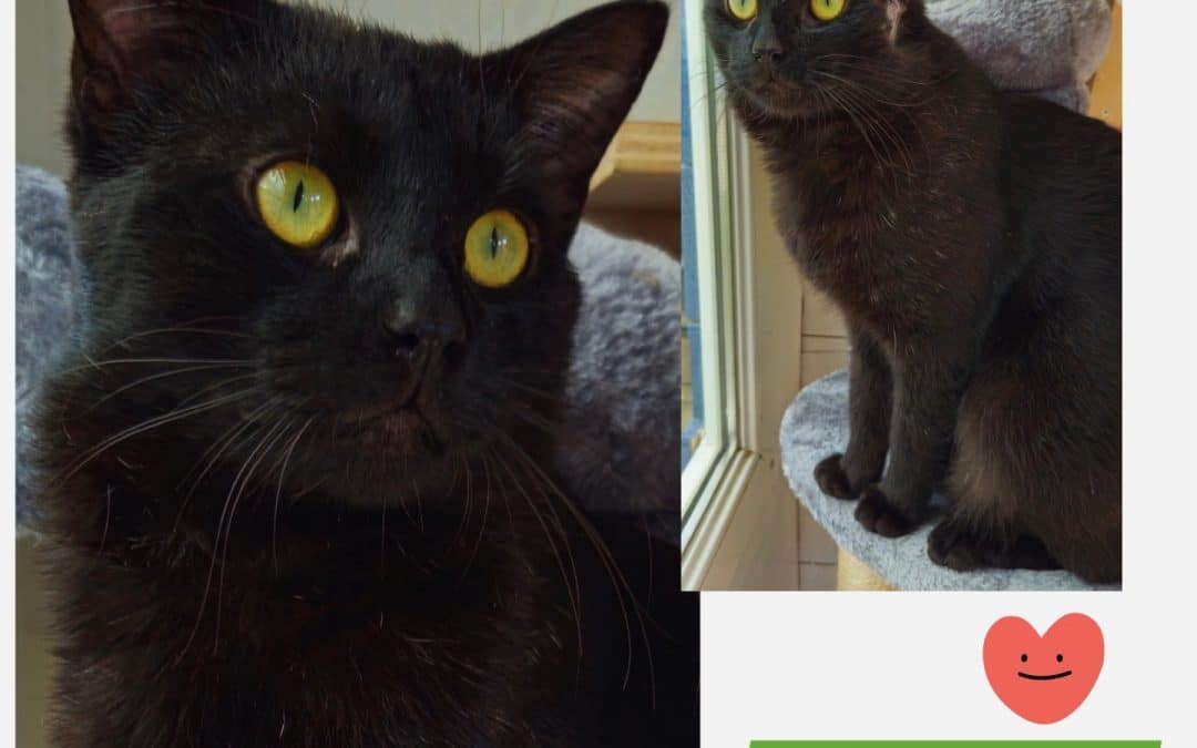 Hubert