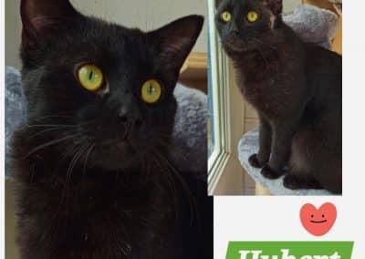 Hubert
