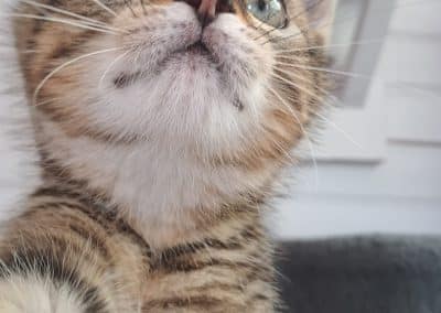 JIM