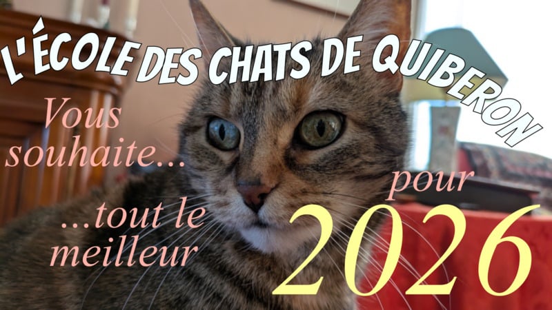 Voeux 2026